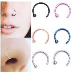 fake-nose-piercings.JPG